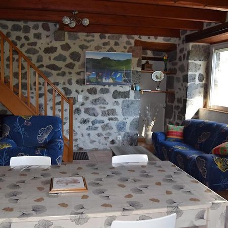 Gite 4 Personnes Dans Le Cantal Animaux Bienvenus Lascelle Extérieur photo