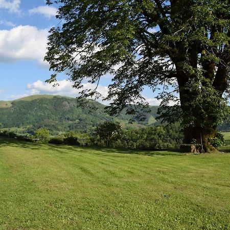 Gite 4 Personnes Dans Le Cantal Animaux Bienvenus Lascelle Extérieur photo