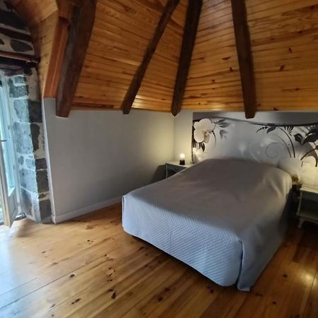 Gite 4 Personnes Dans Le Cantal Animaux Bienvenus Lascelle Extérieur photo