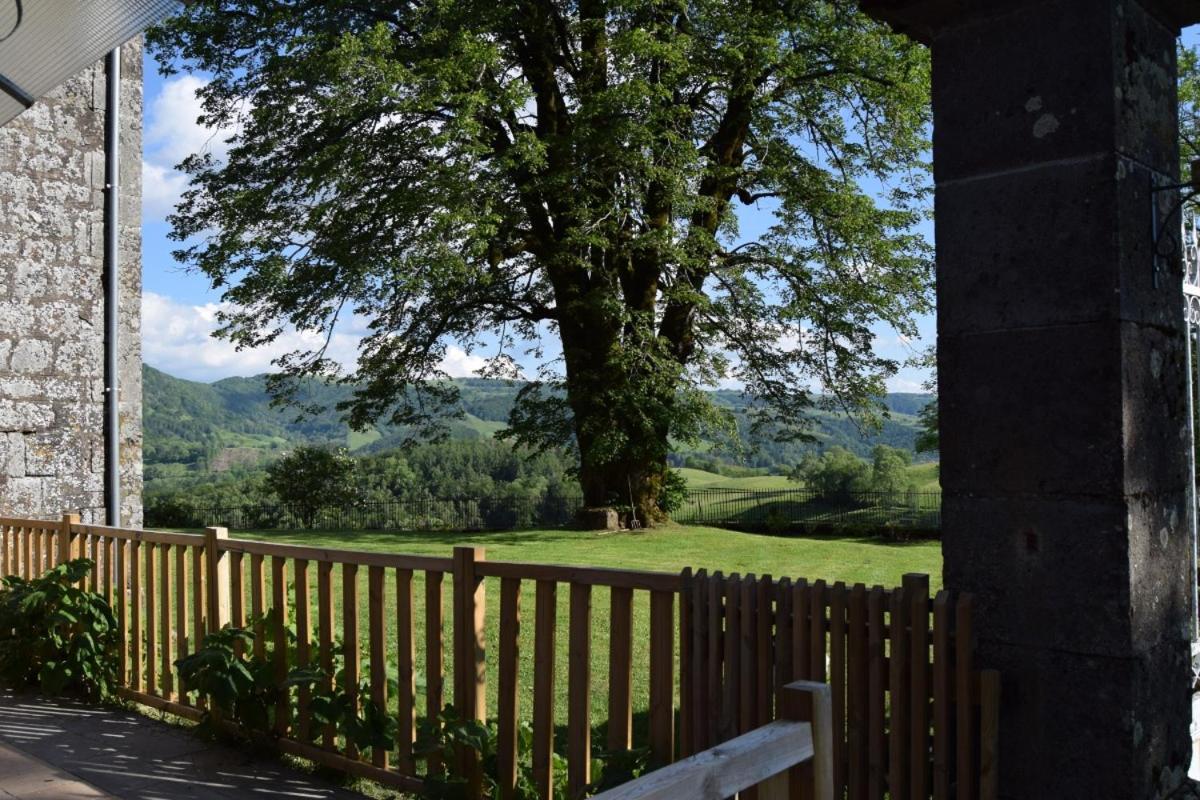Gite 4 Personnes Dans Le Cantal Animaux Bienvenus Lascelle Extérieur photo